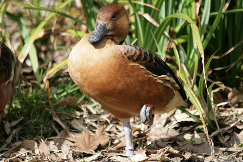 Fotoclubje Blijdorp 2008-146.jpg